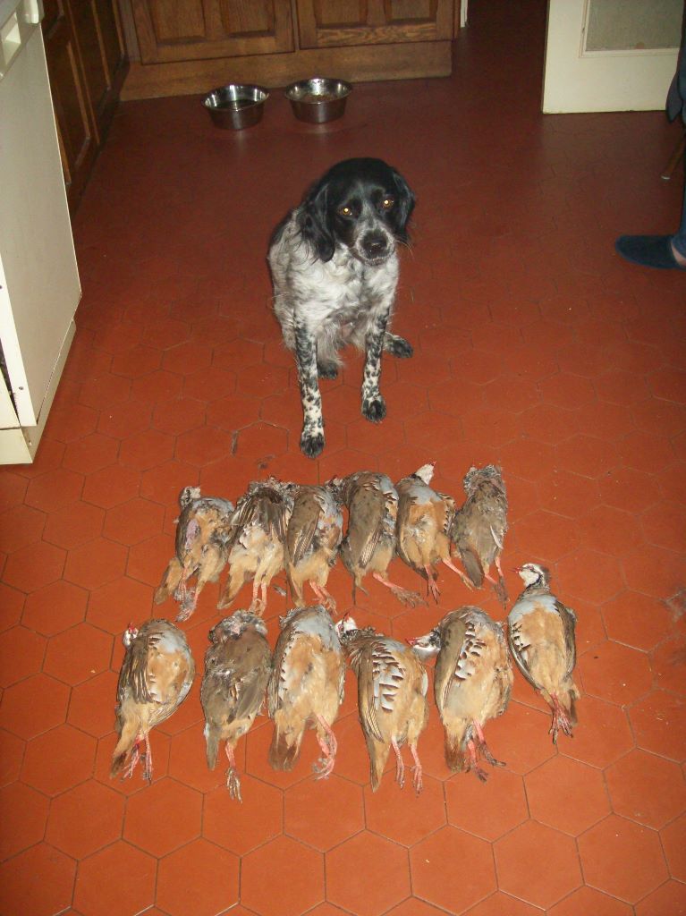 Les brumes du rocher - tableau de chasse Espagne avec Jolia