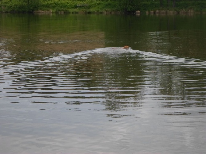 Les brumes du rocher - entrainement pour le reep au grand bassin !!