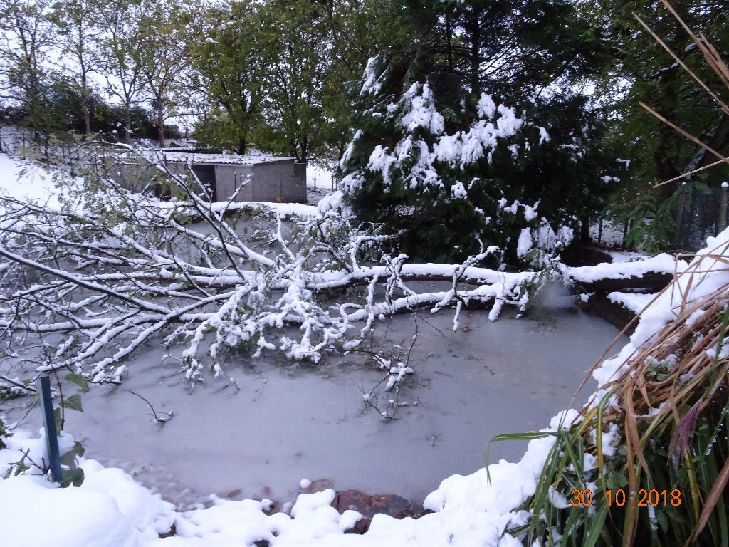 Les brumes du rocher - neige au bac