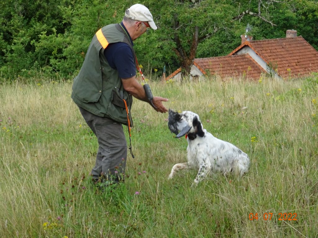 Les brumes du rocher - Samoa  rapport naturel !! Futur grand chien de chasse !!!