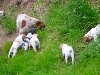  - découverte toujours avec maman !