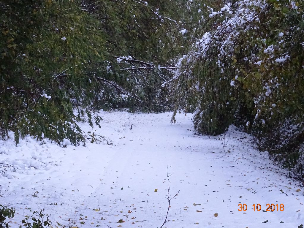 Les brumes du rocher - montagne bourbonnaise