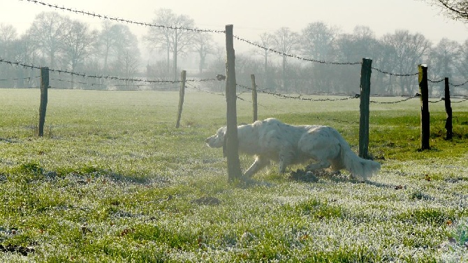 Les brumes du rocher - Chassez le naturel, il revient au galop....