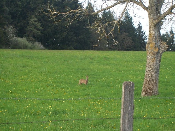 Les brumes du rocher - Tranquille !