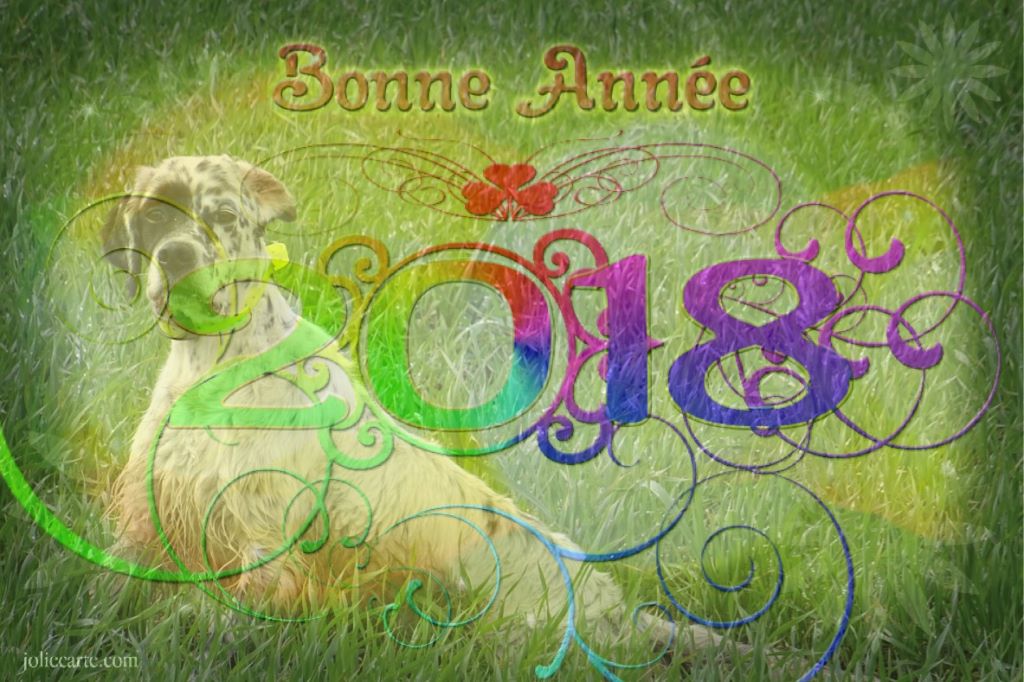 Les brumes du rocher - Bonne Année à Tous