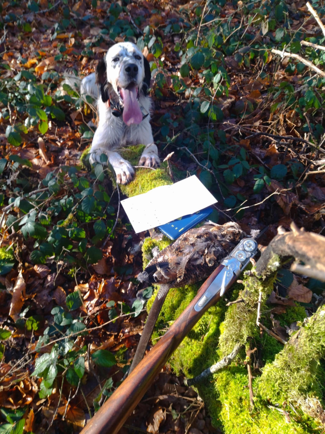 Toutes les bonnes choses ont une fin !!!!