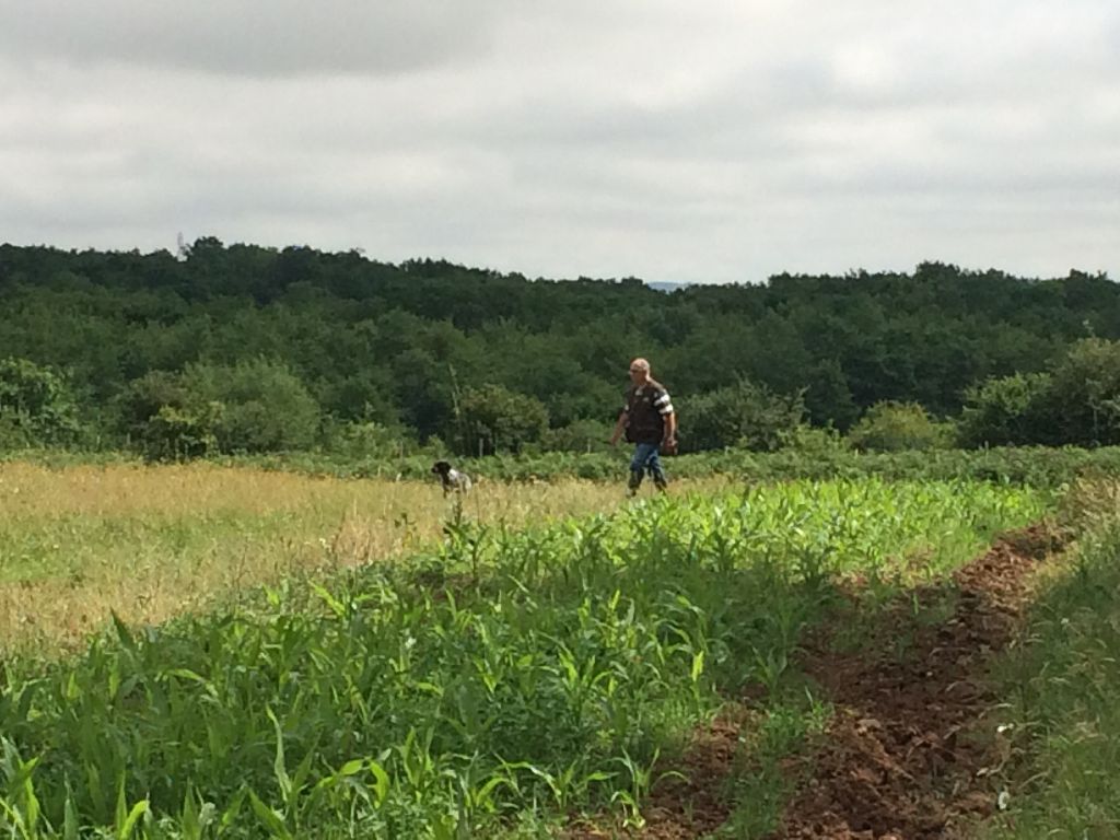 Les brumes du rocher - Tan Gilly sur Loire 13/06/2015