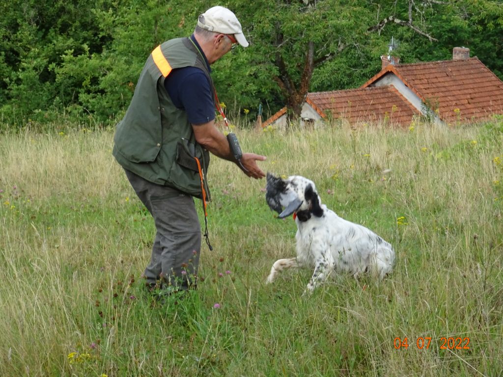 Les brumes du rocher - Samoa rapport naturel !! Futur grand chien de chasse !!!