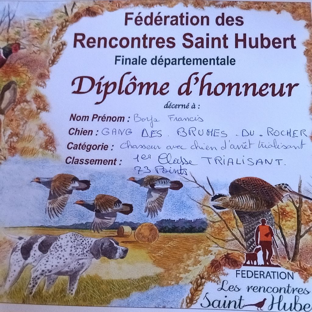 Les brumes du rocher - Gangou 12 ans