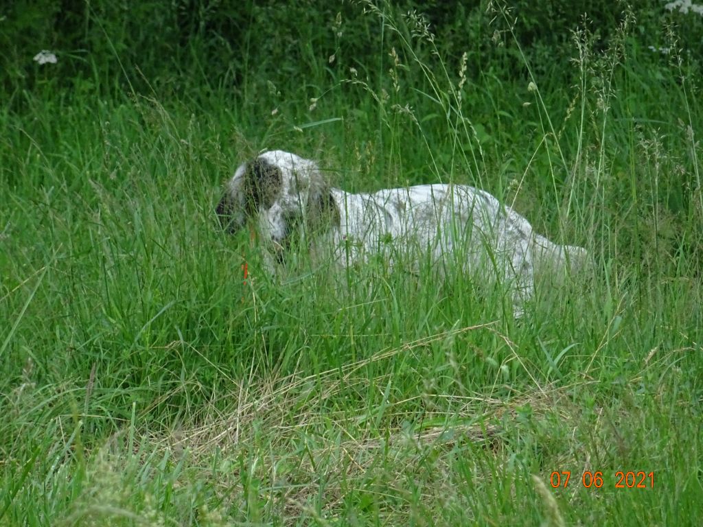 Les brumes du rocher - Rusty au boulot !!!