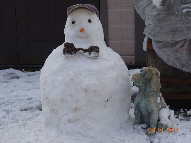 Les brumes du rocher - Mr Neige veille sur nous !!!