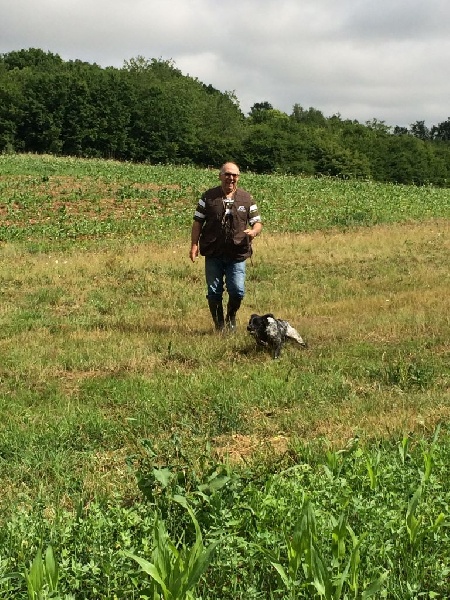 tan gilly 2015 jojo et java