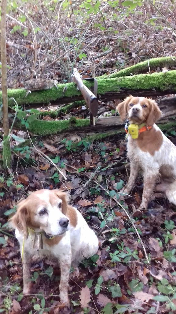 Chasse passion !
