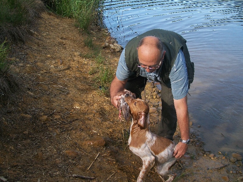 Finette 1er rapport à l'eau
