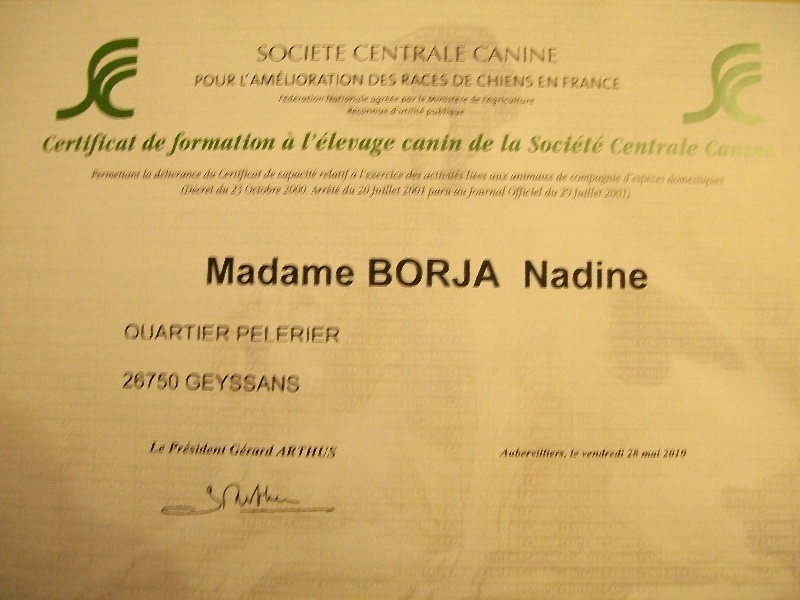 Certificat de formation à l'élevage canin